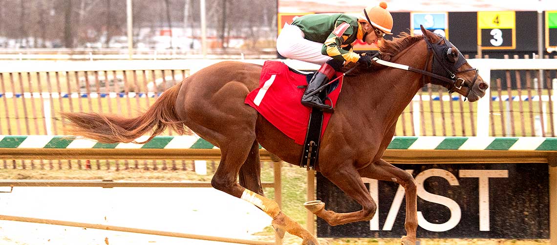 Conclusive Seeks Stakes Victory In $100,000 Miracle Wood - Maryland ...