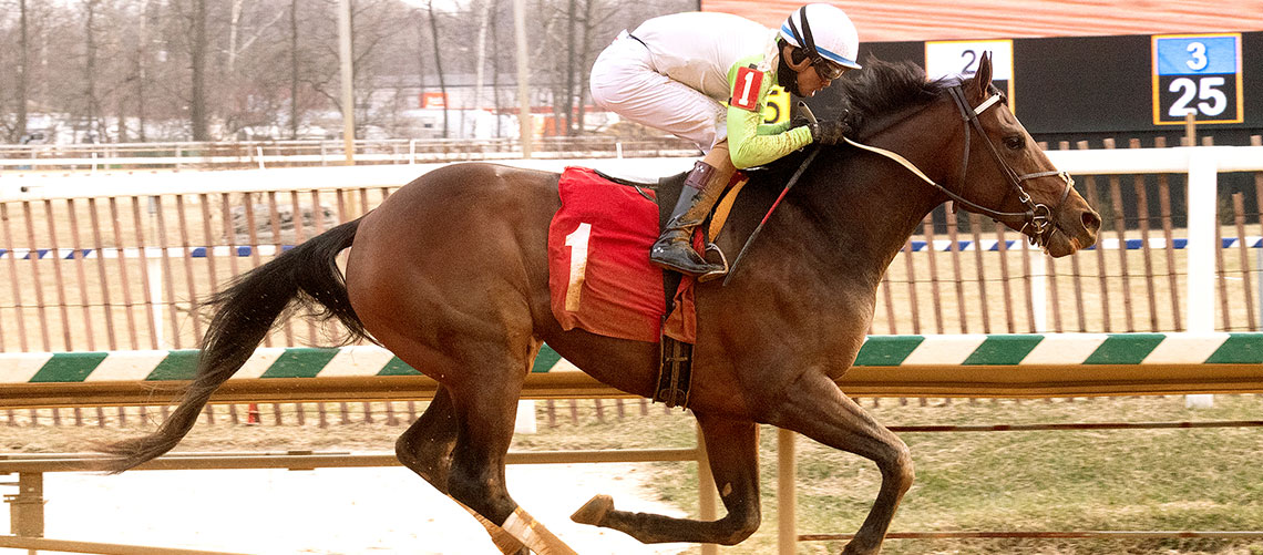 Jacksons start first Preakness Stakes runner, Divining Rod, since