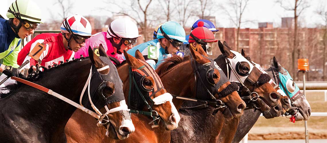 Winter Spectacular - Maryland Jockey Club