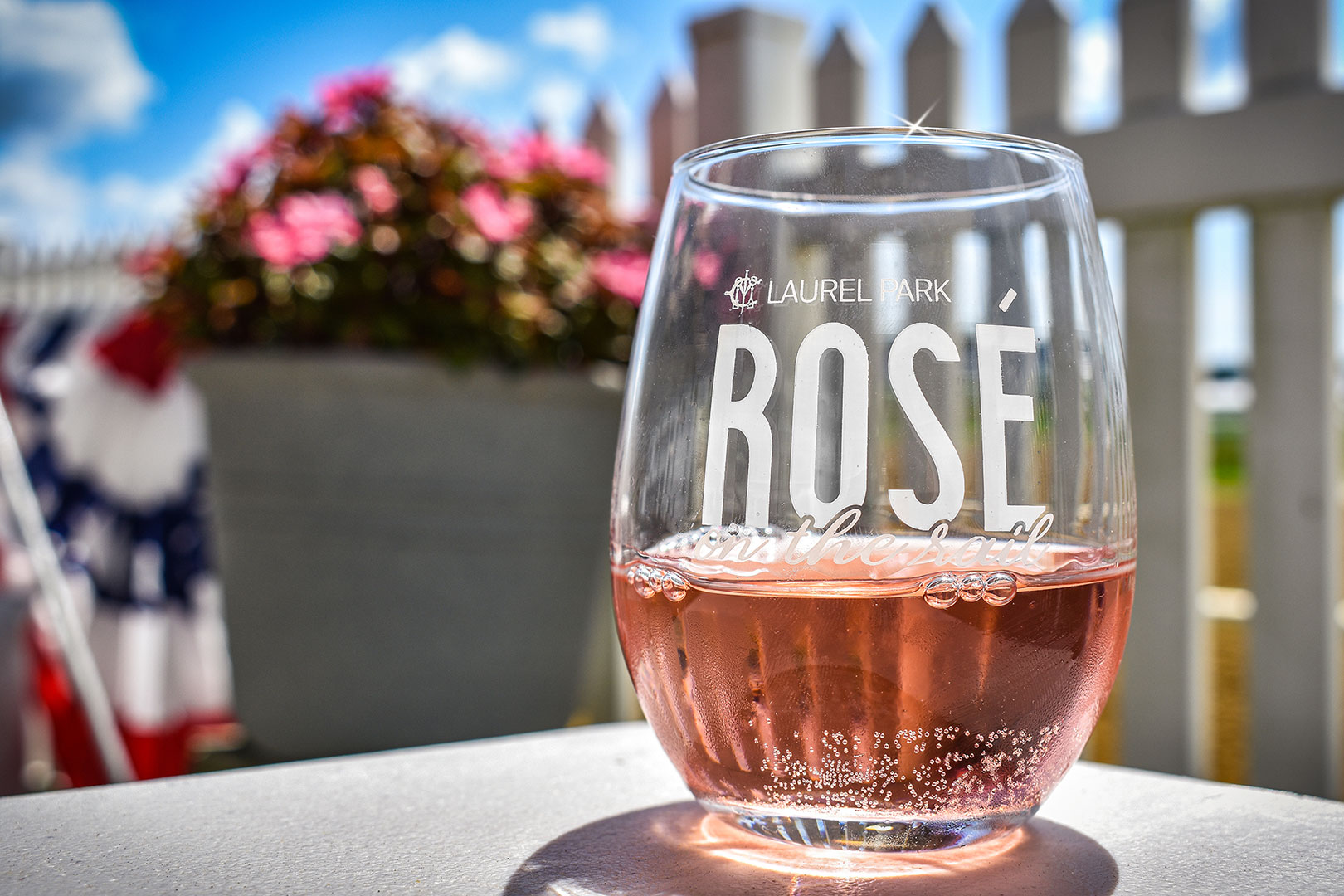 ID7659298_DSC_0198---Edited-rose2
