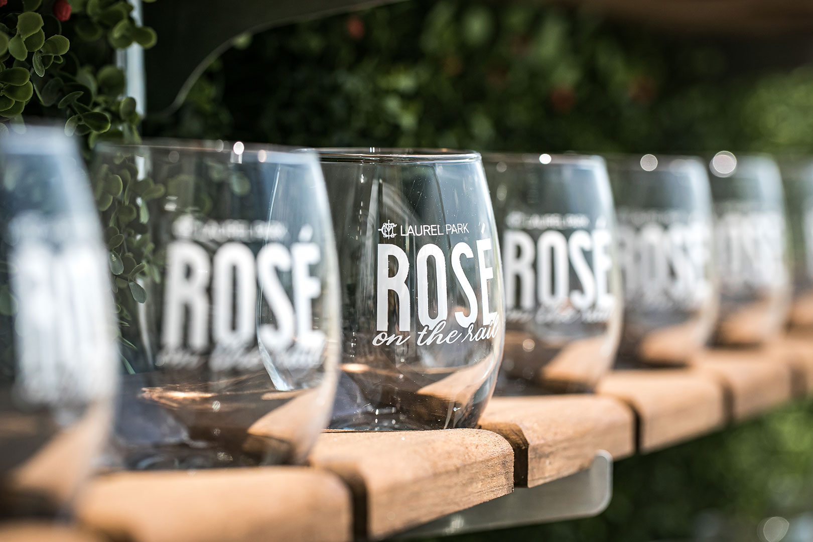 ID7659952_22-20190727-4MRP9938-rose6