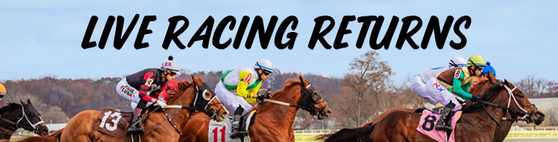 LP-Live_Racing-Returns-2026-MJC_Assets784x200px - Upcoming Events