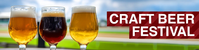 LP-Craft_Beer_Festival-2026-MJC_Assets784x200px - Upcoming Events