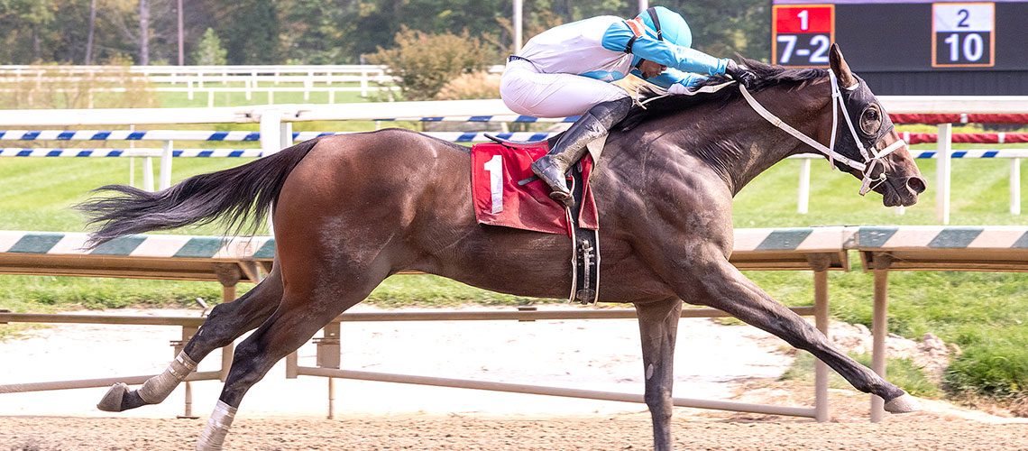 Duke-Of-Gloucester