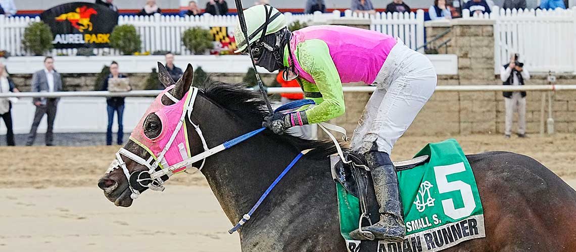 Race8RichardSmallStakes