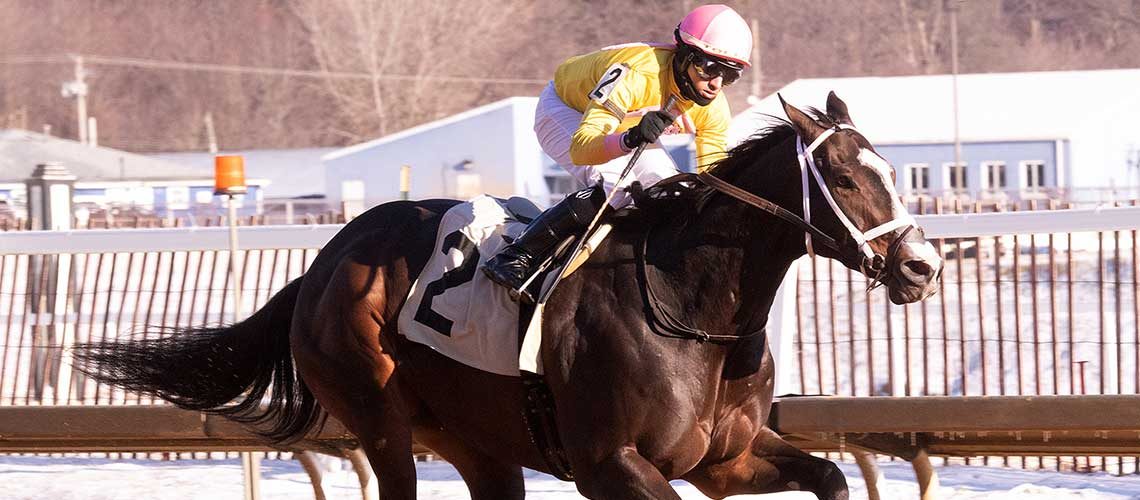 Winter Spectacular - Maryland Jockey Club